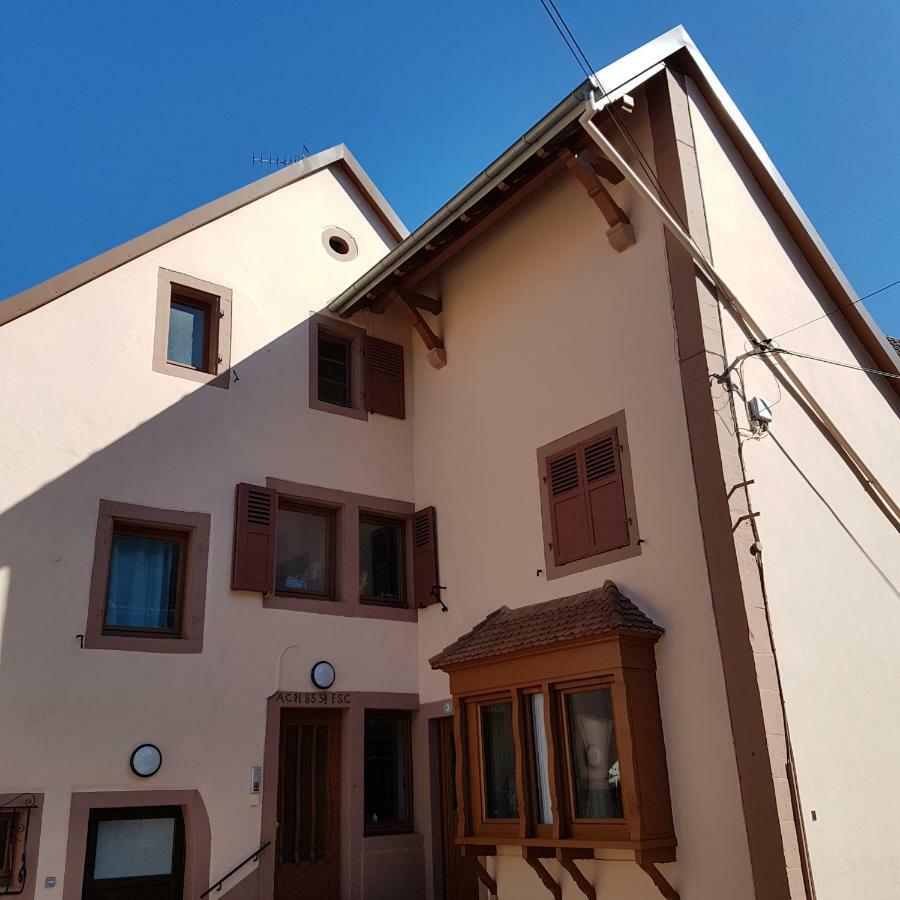 Alsace Randonnee Ou Ski Bel Appartement Grendelbruch Exterior photo